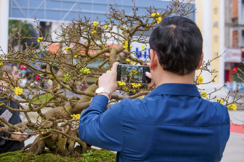 hang-tram-goc-hoang-mai-khoe-sac-ben-dong-huong (25).jpg