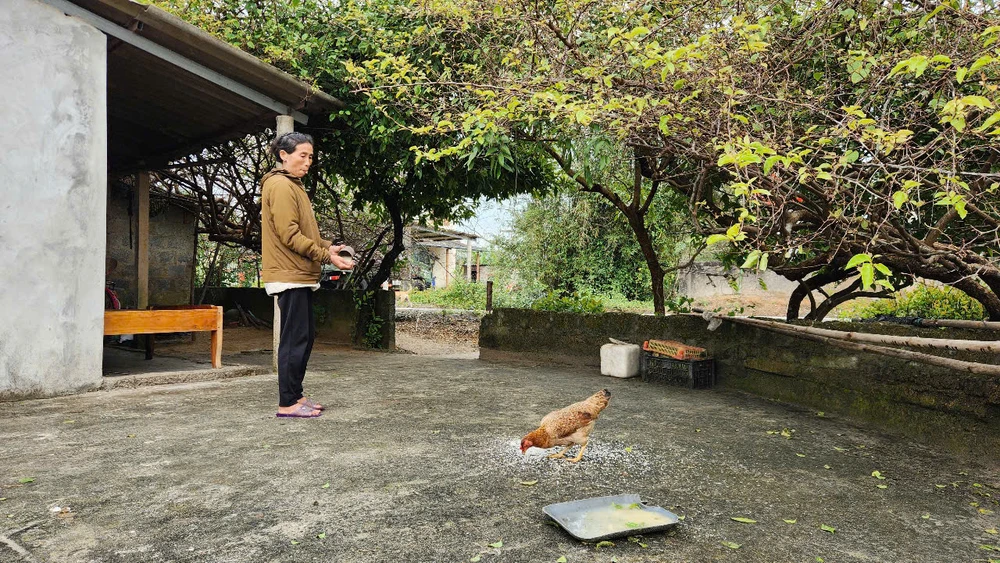 người phụ nữ nghèo ở quảng trị