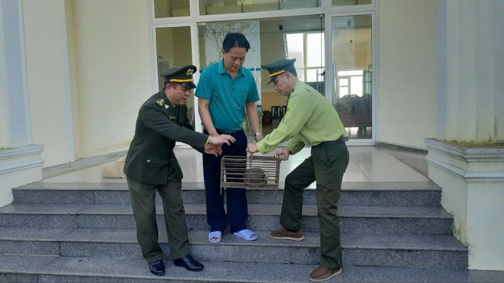 Cán bộ cá thế tê tê java