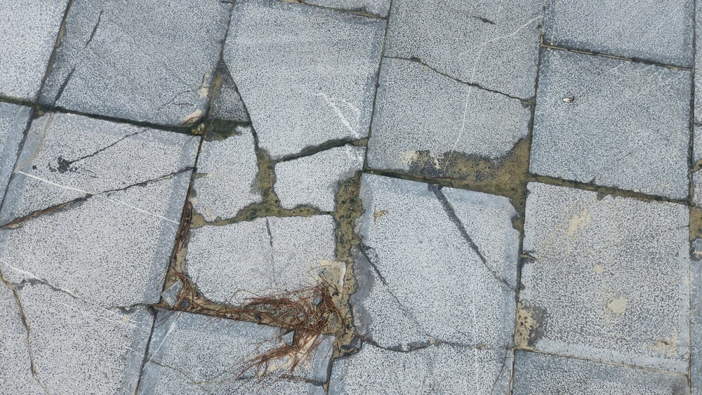 quang-tri-da-lat-san-o-bai-tam-vo-nhu-banh-trang-khi-vua-hoan-thanh (37).jpg