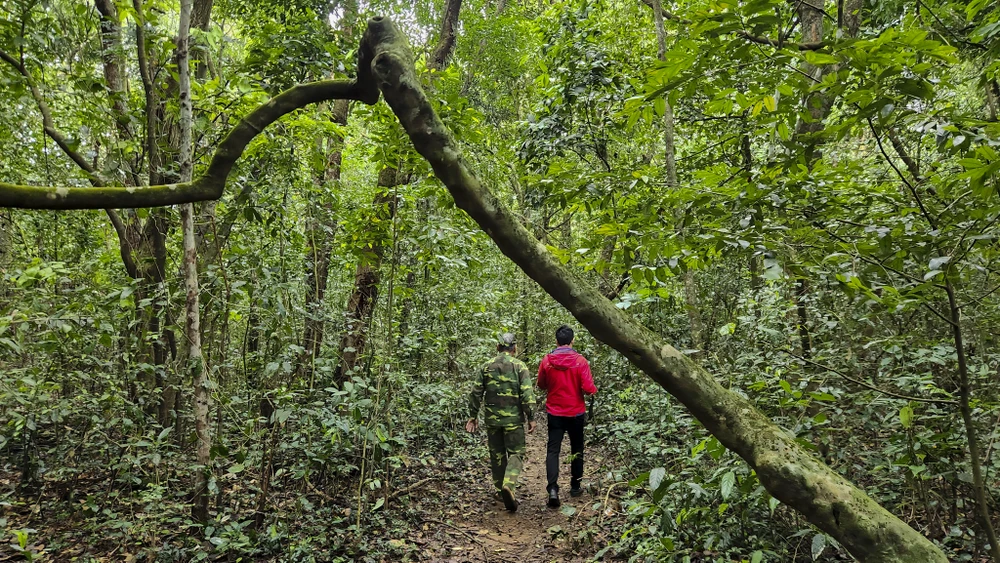 chum-anh-rung-nguyen-sinh-duy-nhat-giua-dong-bang-quang-tri (11).jpg