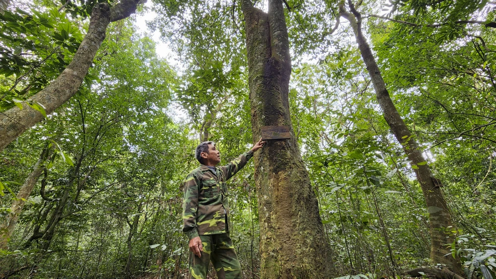 chum-anh-rung-nguyen-sinh-duy-nhat-giua-dong-bang-quang-tri (12).jpg