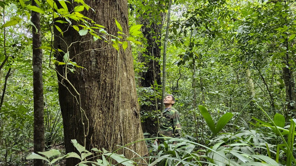 chum-anh-rung-nguyen-sinh-duy-nhat-giua-dong-bang-quang-tri (14).jpg