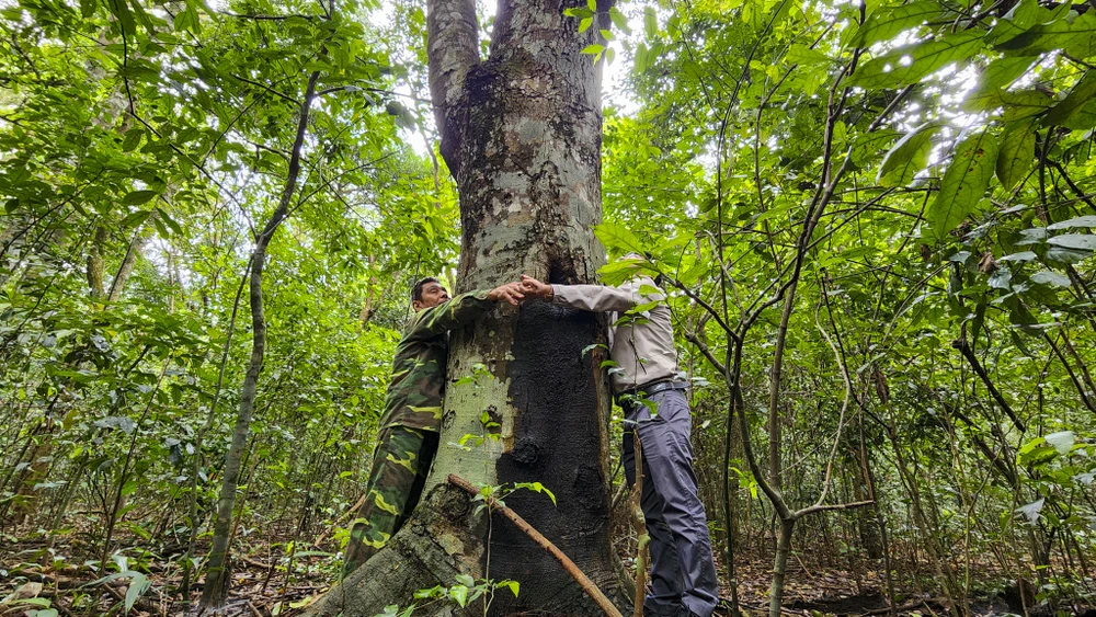 chum-anh-rung-nguyen-sinh-duy-nhat-giua-dong-bang-quang-tri (8).jpg