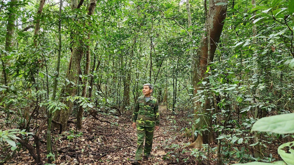 đặt tên cho một loài cây