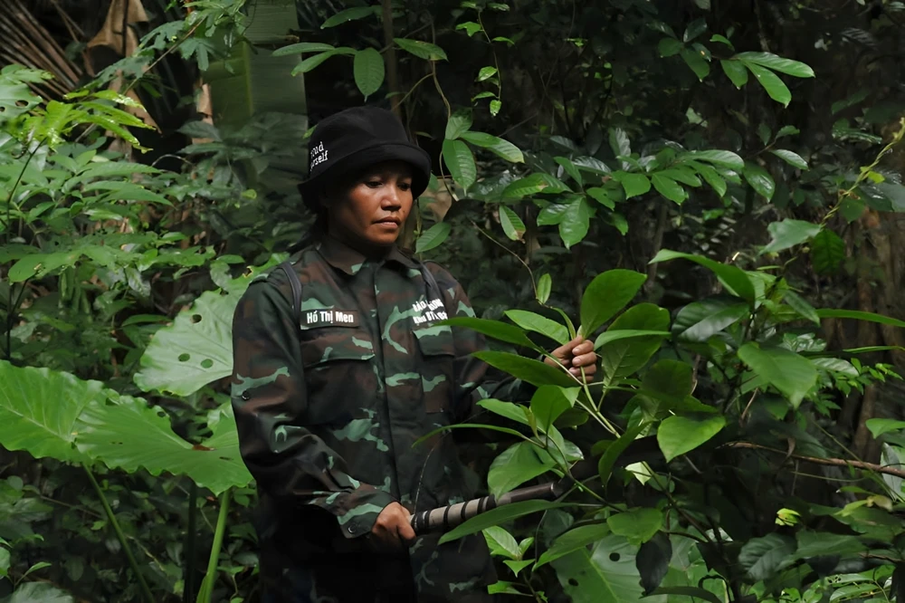 rừng trường sơn