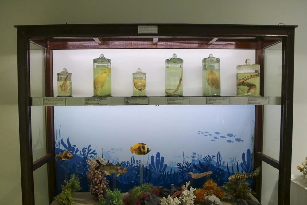 bao-tang-thien-nhien-2.jpg