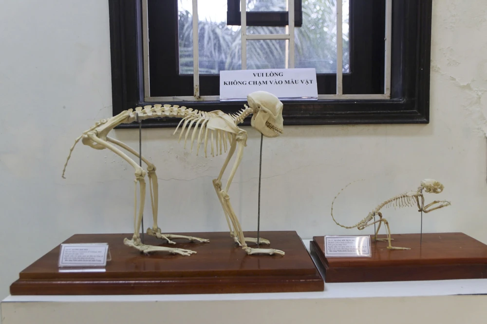 bao-tang-thien-nhien-4.jpg