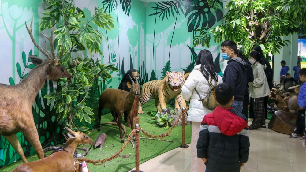 bảo tàng thiên nhiên