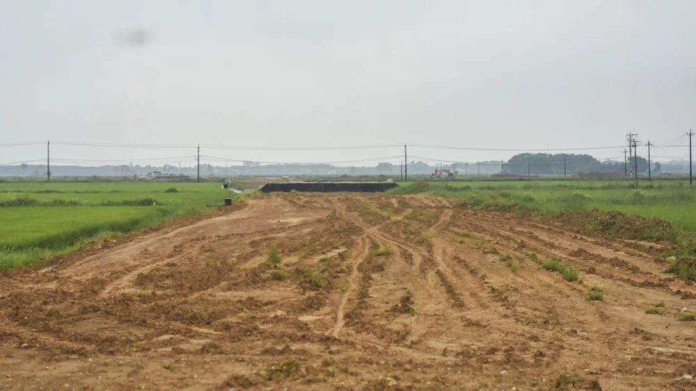 mat-bang-xoi-do-tuyen-duong-tranh-tp-dong-ha-gio-ra-sao (21).jpg