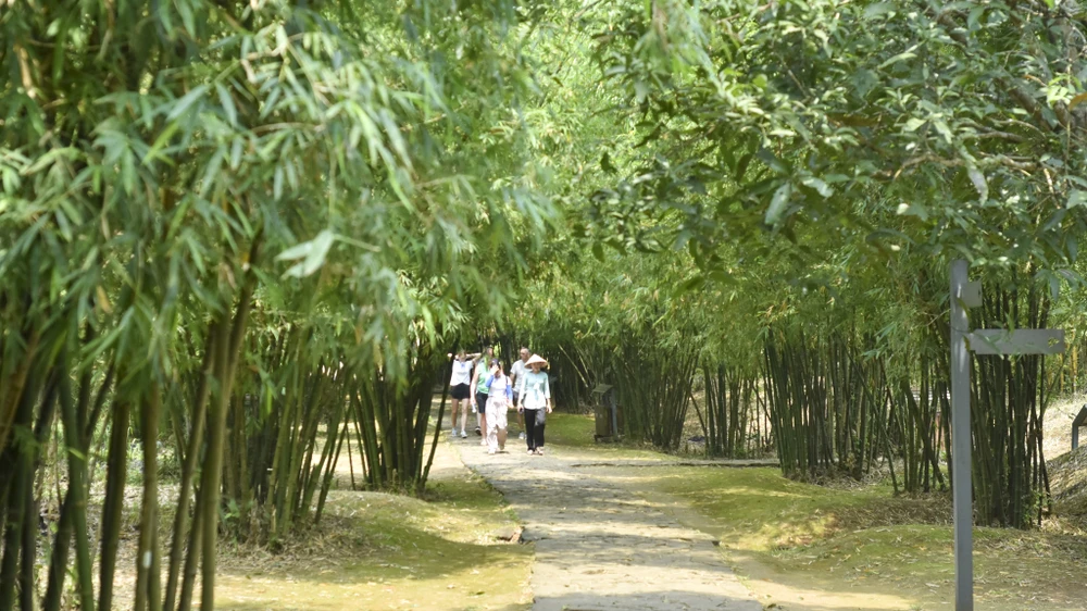 địa đạo vịnh mốc