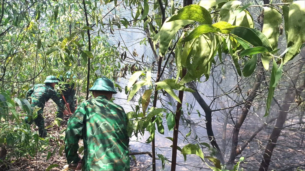 cháy rừng phòng hộ