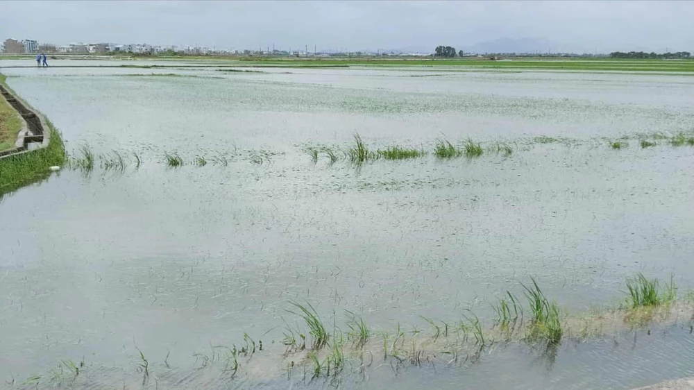 Thủy điện Hương Điền