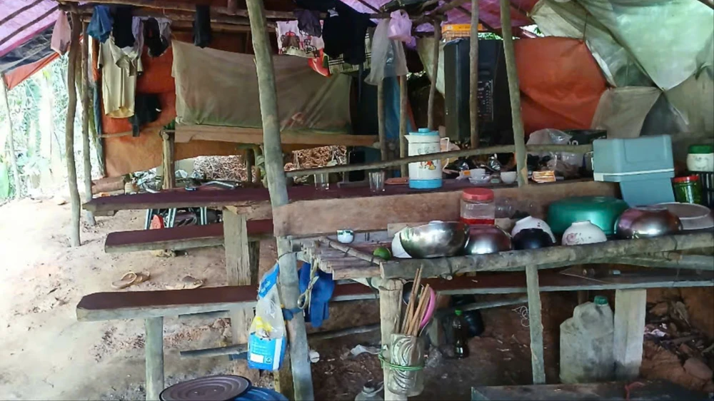 phat-hien-lan-trai-vang-tac-trong-rung-phong-ho-quang-tri (5).jpg