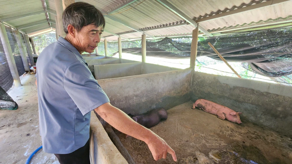 hang-tram-con-lon-chet-nguoi-dan-mien-nui-hue-khoc-rong-vi-thua-lo (2).jpg