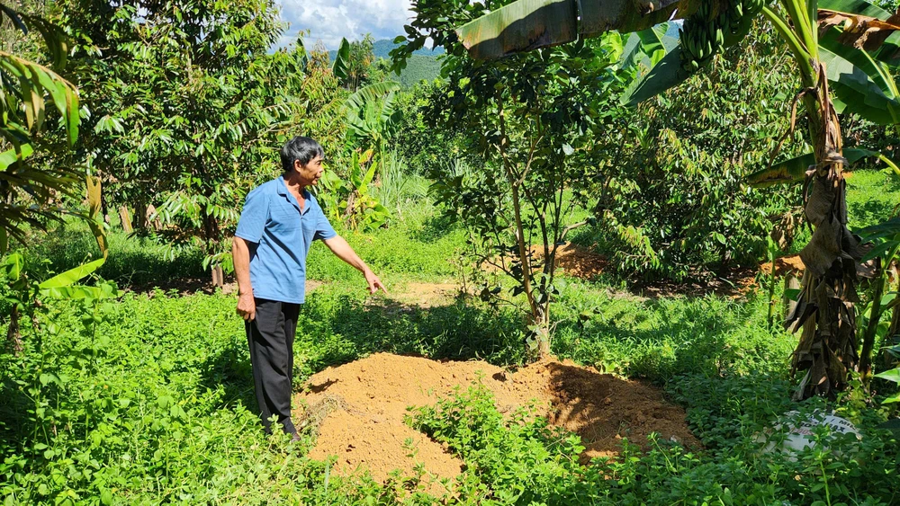 hang-tram-con-lon-chet-nguoi-dan-mien-nui-hue-khoc-rong-vi-thua-lo (3).jpg