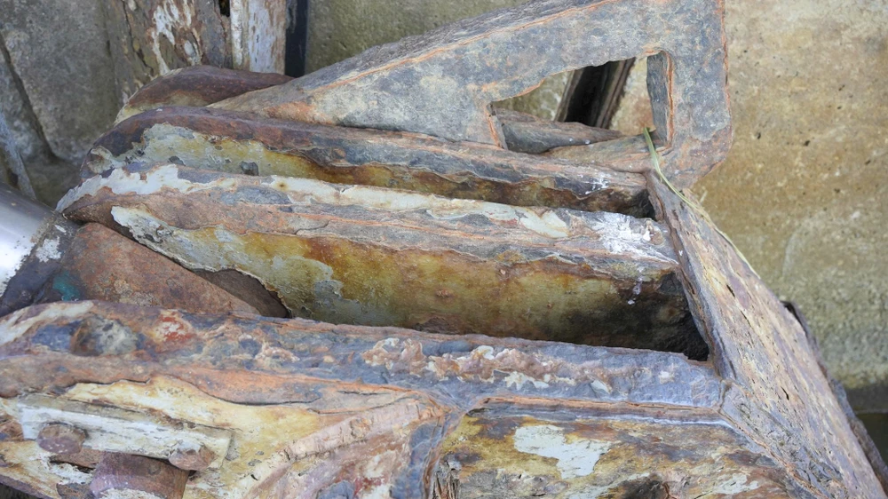 dap-thao-long-la-chan-ngan-man-lon-nhat-dong-nam-a-truoc-ngay-dai-tu (6).jpg