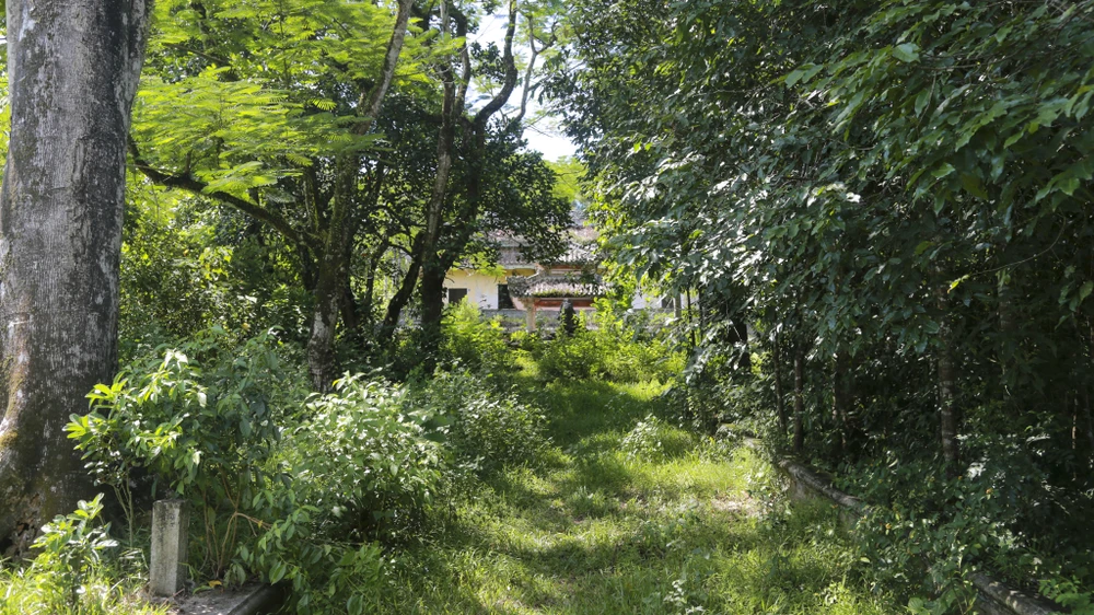 lanh-gay-ben-trong-dinh-thu-cua-bao-chua-mien-trung-ngo-dinh-can (7).jpg