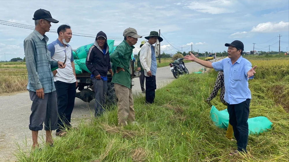 chạy đua với bão số 5