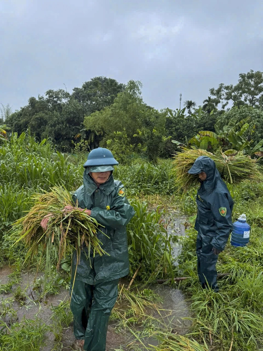 chum-anh-quan-dan-quang-tri-tranh-thu-tung-gio-de-ung-pho-voi-bao-so-10 (11).jpg