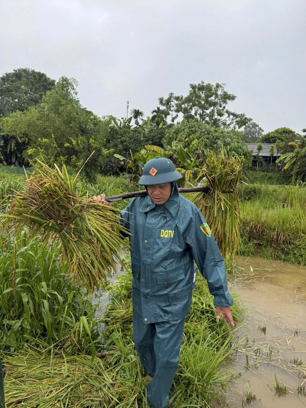 chum-anh-quan-dan-quang-tri-tranh-thu-tung-gio-de-ung-pho-voi-bao-so-10 (9).jpg