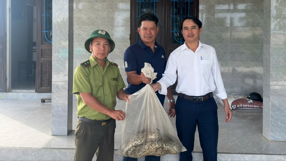 trăn gấm quý hiếm