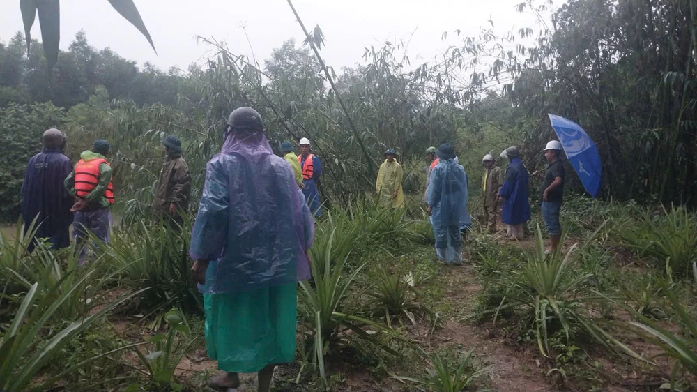 bờ sông bị sạt lở