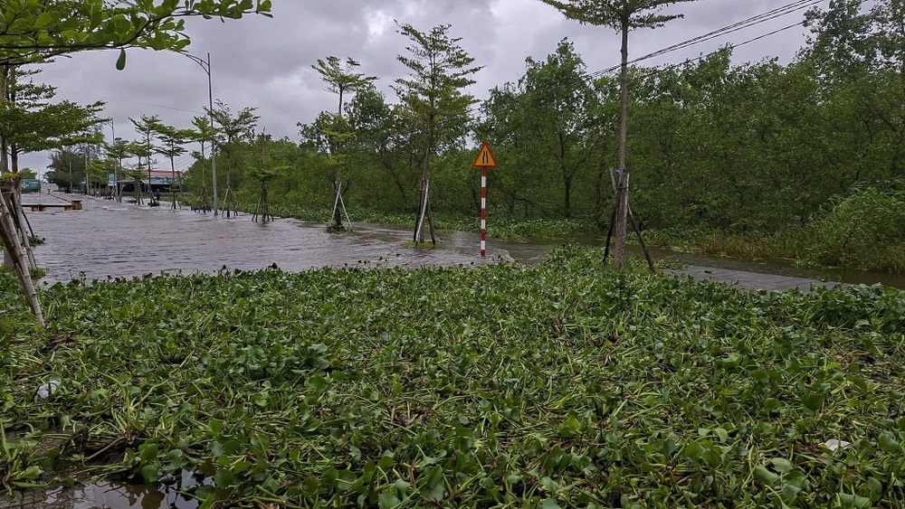 nuoc-dang-cao-nhieu-vung-thap-trung-tai-hue-bat-dau-ngap (10).jpg