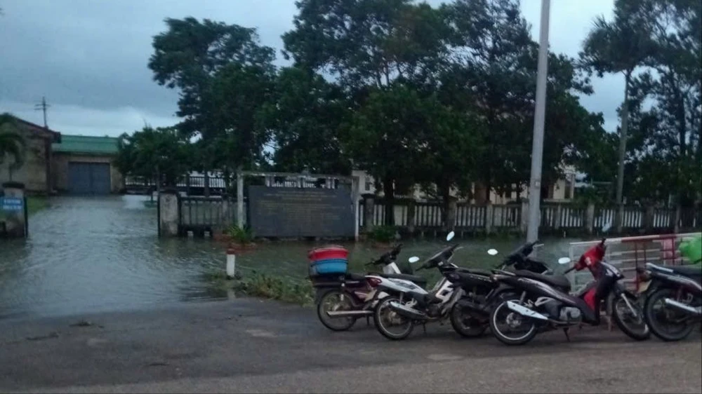 trieu-cuong-dang-cao-mot-so-vung-thap-trung-o-pha-tam-giang-bi-ngap-sau (3).jpg