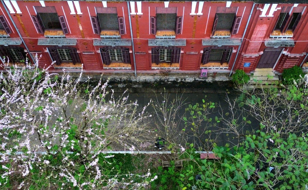 can-canh-ngoi-truong-129-tuoi-3-nam-lien-mang-cau-truyen-hinh-olympia-ve-hue (27).jpg