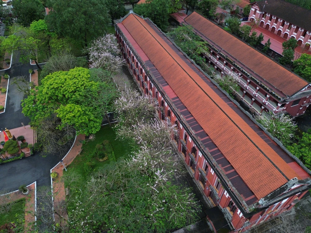 can-canh-ngoi-truong-129-tuoi-3-nam-lien-mang-cau-truyen-hinh-olympia-ve-hue (28).jpg