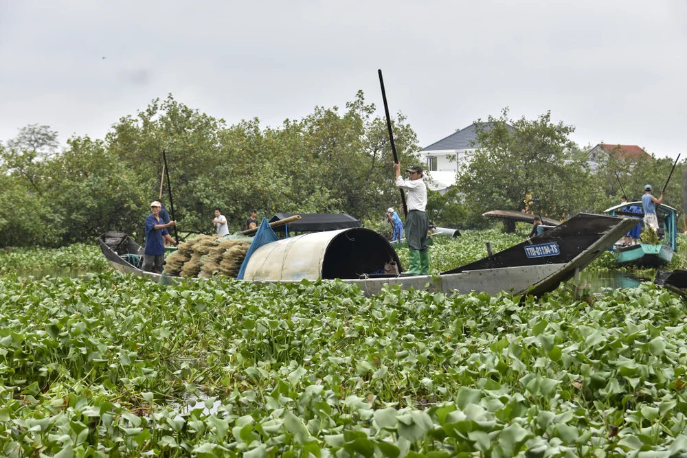 cho-noi-noi-tieng-nhat-xu-hue-bi-luc-binh-tan-cong (27).jpg