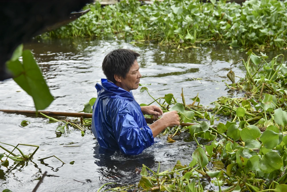 cho-noi-noi-tieng-nhat-xu-hue-bi-luc-binh-tan-cong (30).jpg