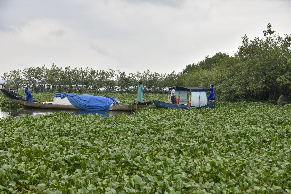 cho-noi-noi-tieng-nhat-xu-hue-bi-luc-binh-tan-cong (32).jpg