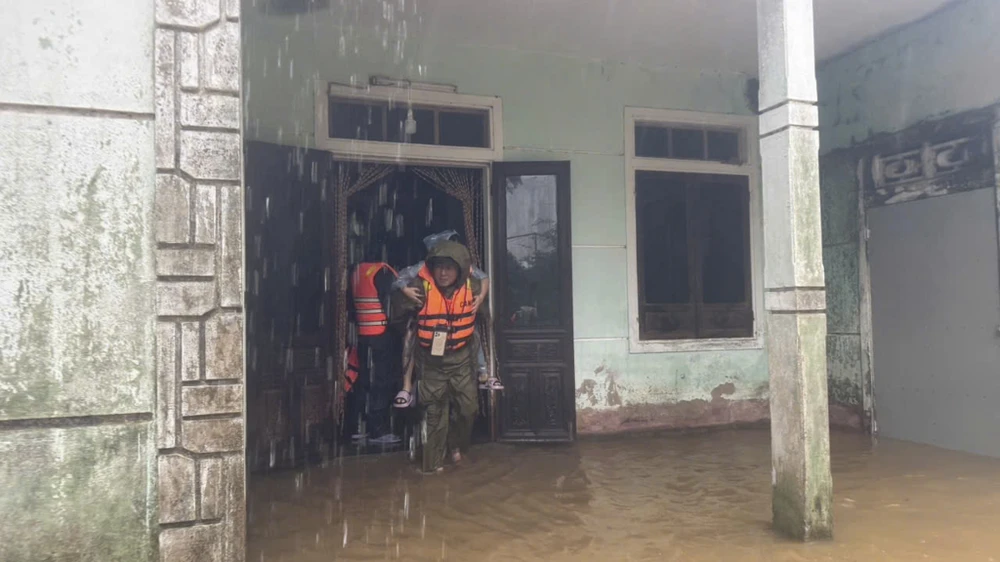 chum-anh-mua-cuc-lon-o-hue-khan-truong-di-doi-dan (1).jpg