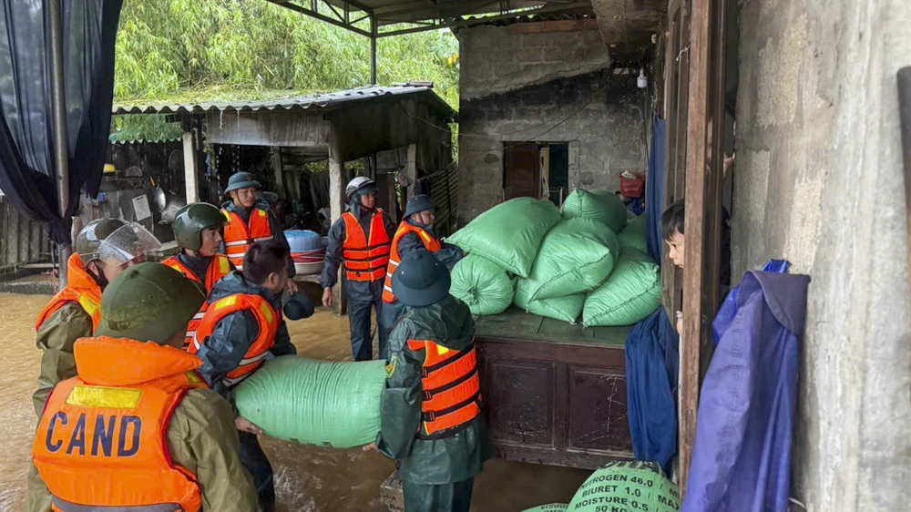 chum-anh-mua-cuc-lon-o-hue-khan-truong-di-doi-dan (2).jpg