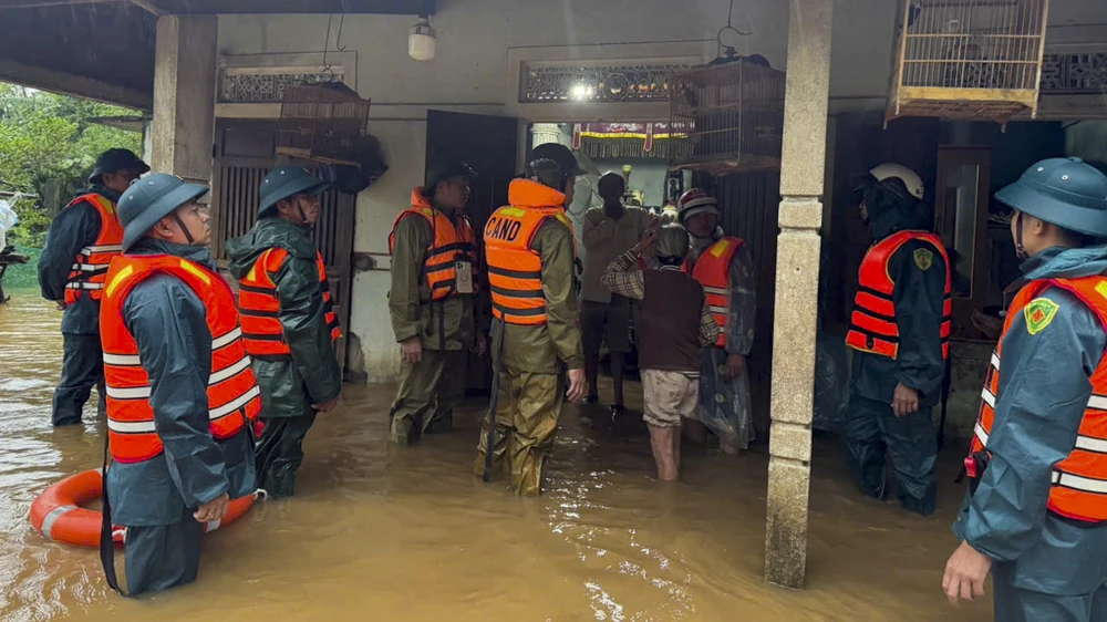 chum-anh-mua-cuc-lon-o-hue-khan-truong-di-doi-dan (4).jpg