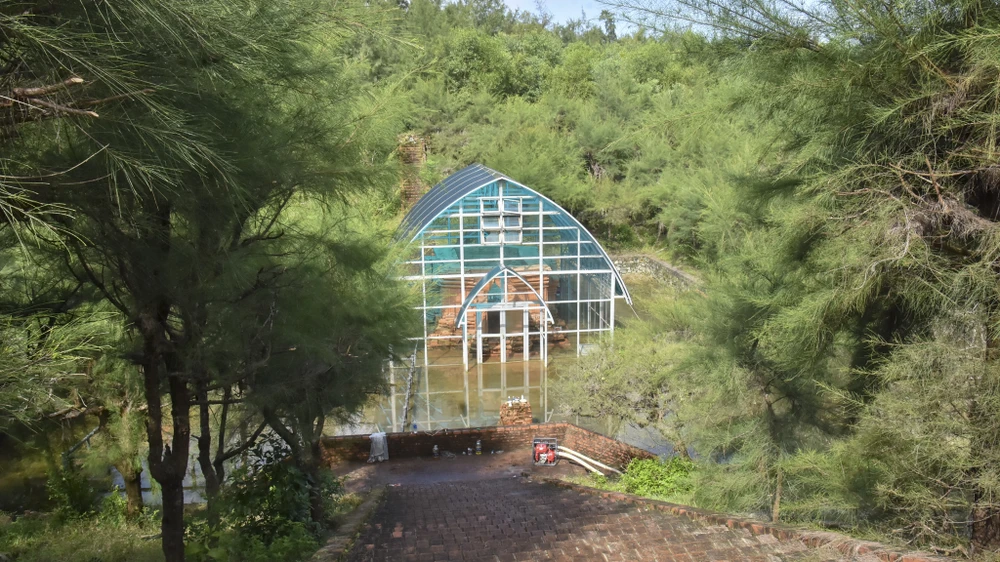 canh-canh-di-tich-thap-cham-hon-1-200-tuoi-ngap-sau (3).jpg