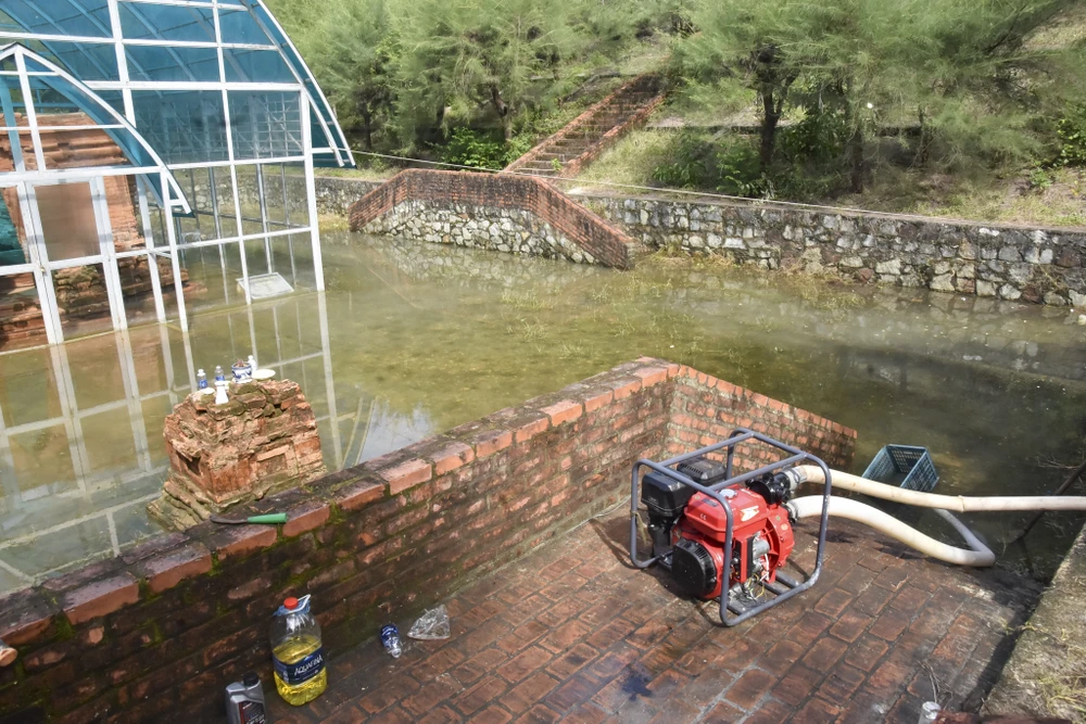 canh-canh-di-tich-thap-cham-hon-1-200-tuoi-ngap-sau (7).jpg