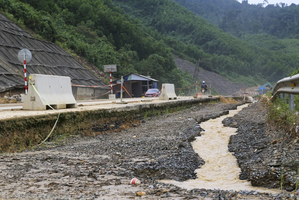 can-canh-cao-toc-la-son-hoa-lien-sat-lo-do-mua-lich-su (11).jpg