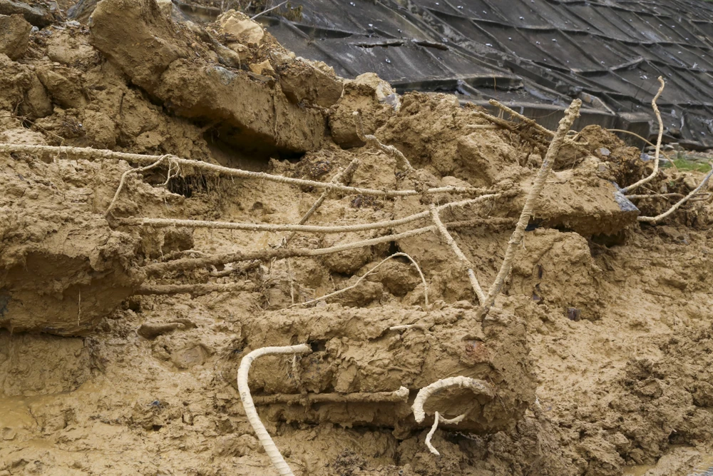 can-canh-cao-toc-la-son-hoa-lien-sat-lo-do-mua-lich-su (16).jpg