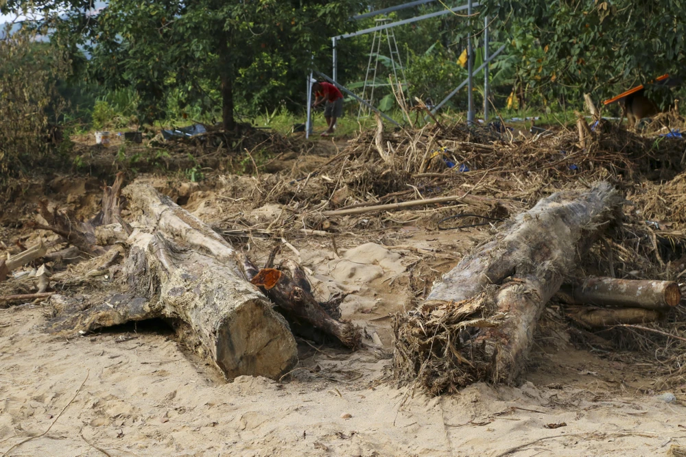 dong-suoi-duoi-chan-bach-ma-noi-co-dot-mua-lon-nhi-the-gioi-tan-hoang-sau-lu (17).jpg