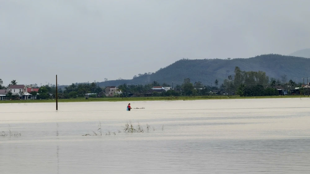 chum-anh-flycam-nuoc-bua-vay-ron-lu-hoa-thinh-dak-lak (17).jpg