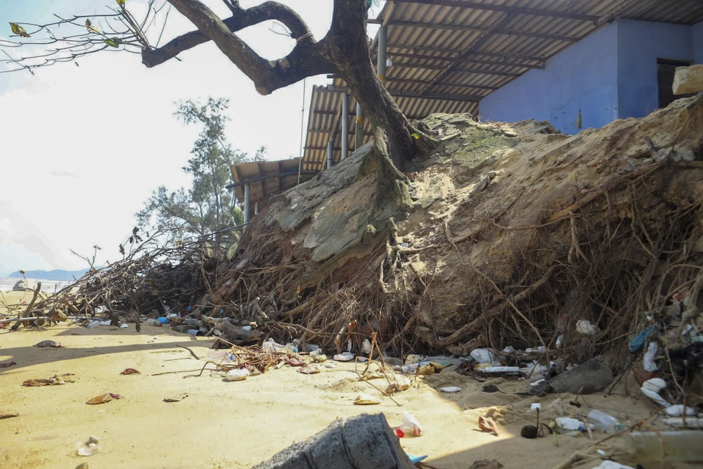 chu-quan-o-bien-ham-rong-bat-luc-nhin-song-du-nuot-tai-san (10).jpg