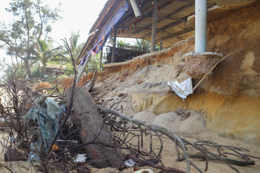 chu-quan-o-bien-ham-rong-bat-luc-nhin-song-du-nuot-tai-san (13).jpg