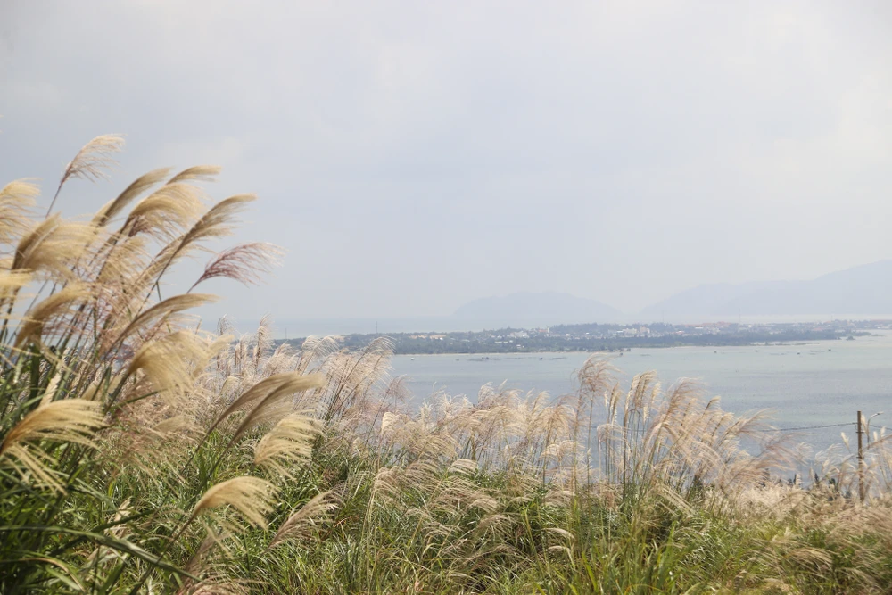 nghia-trang-40-ti-tua-son-huong-thuy-bi-sat-lo (23).jpg