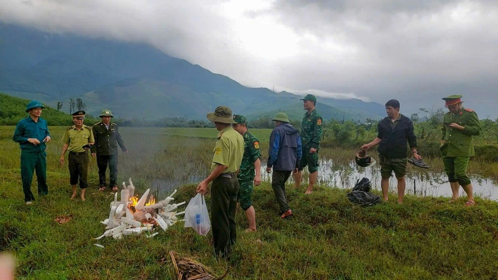 su-that-ve-hang-hang-con-co-trang-dung-im-bat-thuong-tren-canh-dong-o-hue- (6).jpeg