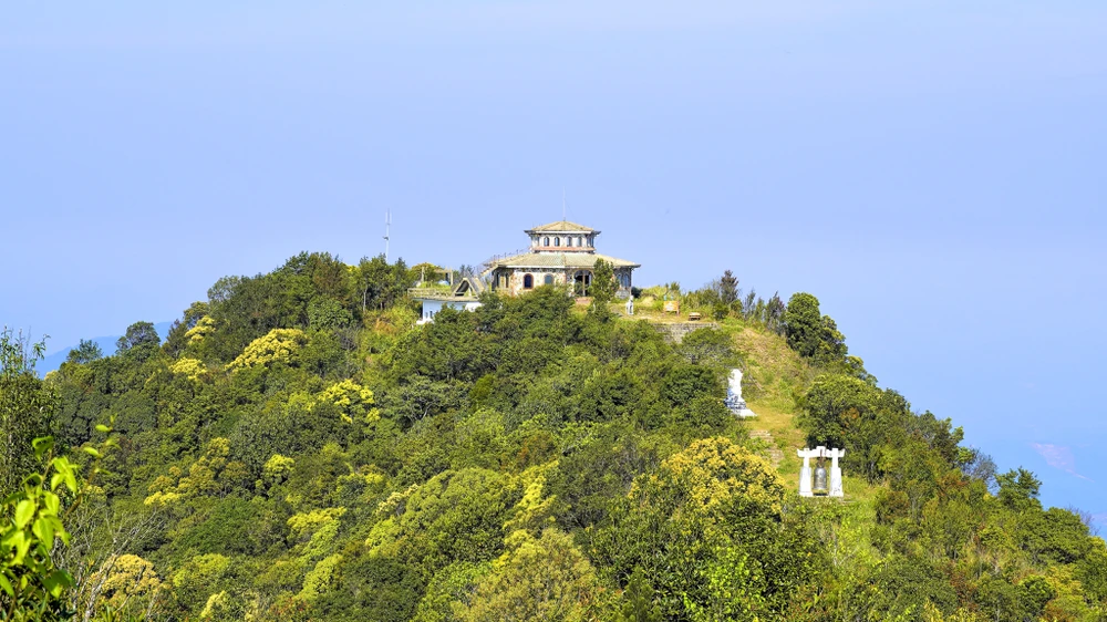 muc-so-thi-kho-bau-xanh-giup-vuon-quoc-gia-bach-ma-thanh-di-san-asean (13).jpg