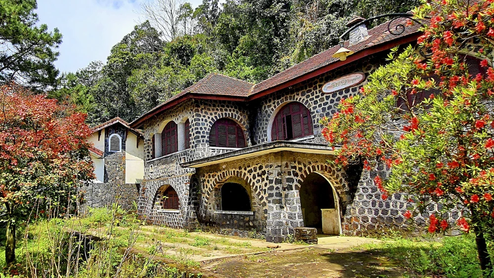 muc-so-thi-kho-bau-xanh-giup-vuon-quoc-gia-bach-ma-thanh-di-san-asean (18).jpg