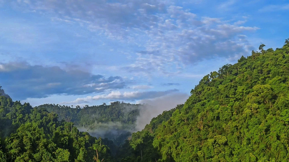 muc-so-thi-kho-bau-xanh-giup-vuon-quoc-gia-bach-ma-thanh-di-san-asean (24).jpg